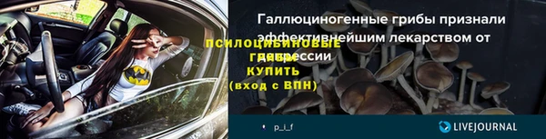 прущие грибы Лагань