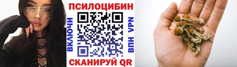 blacksprut ссылка  Бологое  Галлюциногенные грибы Psilocybine cubensis 